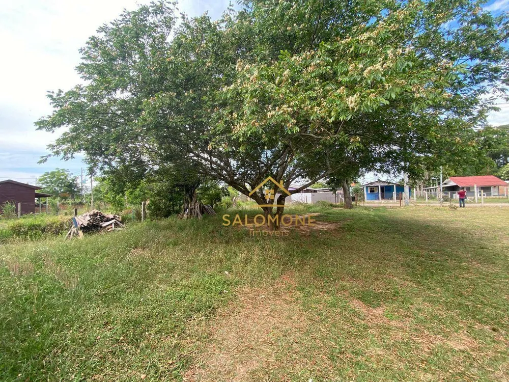 Sítio, 2 quartos, 600 m² - Foto 6