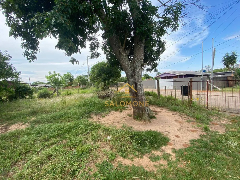 Sítio, 2 quartos, 600 m² - Foto 9