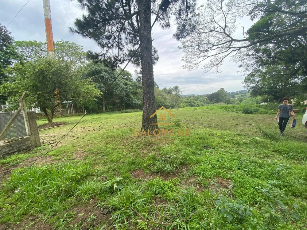 Terreno, 10000 m² - Foto 2