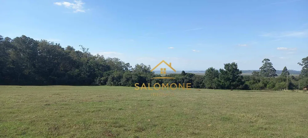 Terreno, 4 hectares - Foto 4
