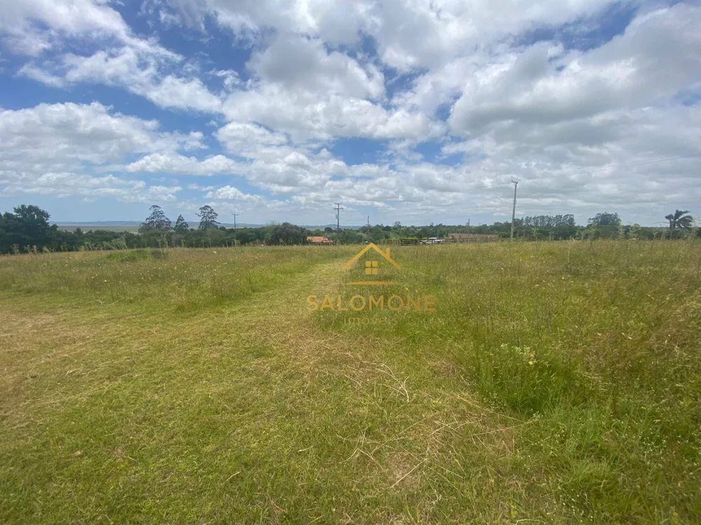 Terreno, 4 hectares - Foto 9
