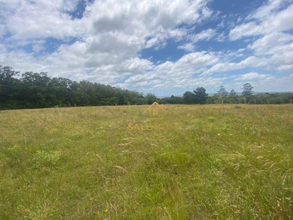 Terreno, 4 hectares - Foto 7