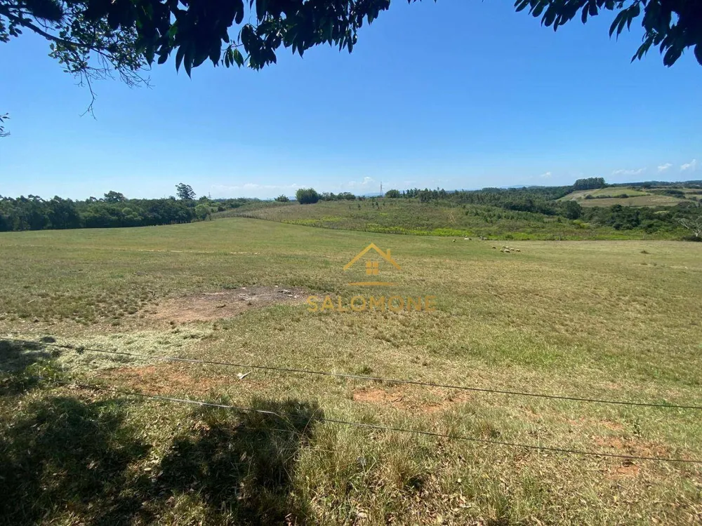 Sítio, 5 hectares - Foto 12