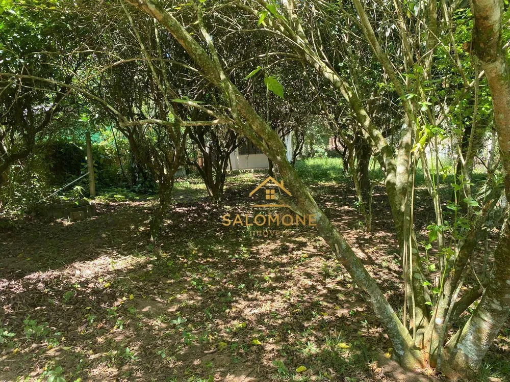 Sítio, 1 quarto, 450 m² - Foto 7