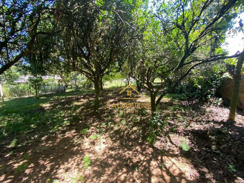 Sítio, 1 quarto, 450 m² - Foto 8
