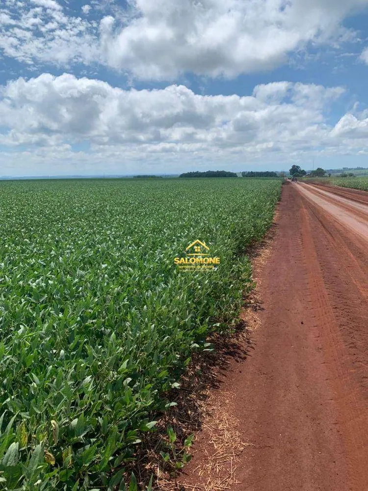 Fazenda, 610 hectares - Foto 1