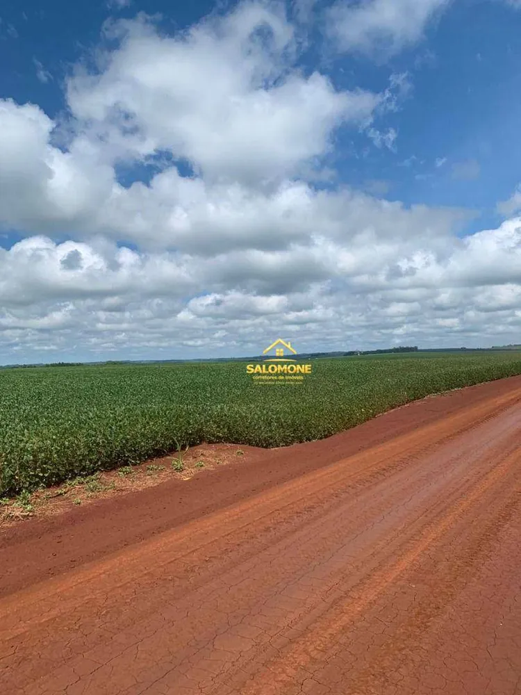 Fazenda, 610 hectares - Foto 6