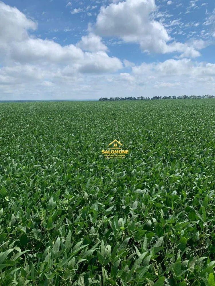 Fazenda, 610 hectares - Foto 3