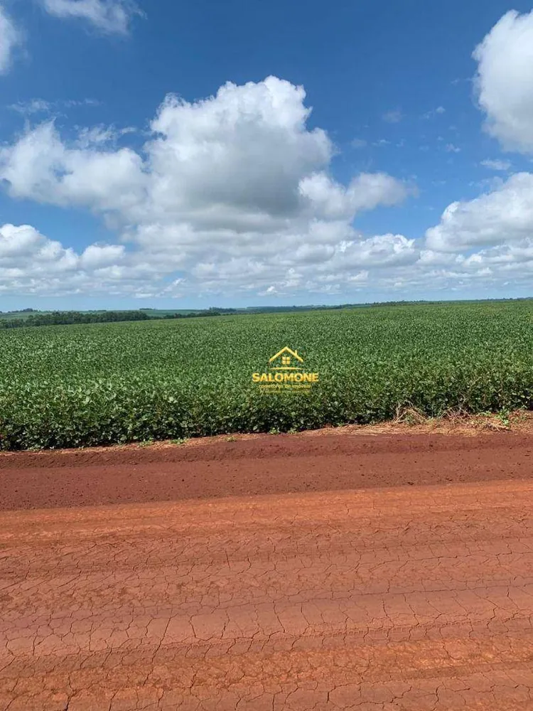 Fazenda, 610 hectares - Foto 4