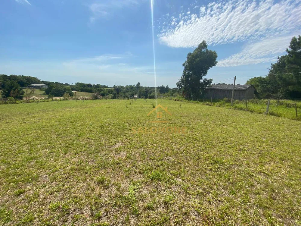 Sítio, 3 quartos, 4700 m² - Foto 5