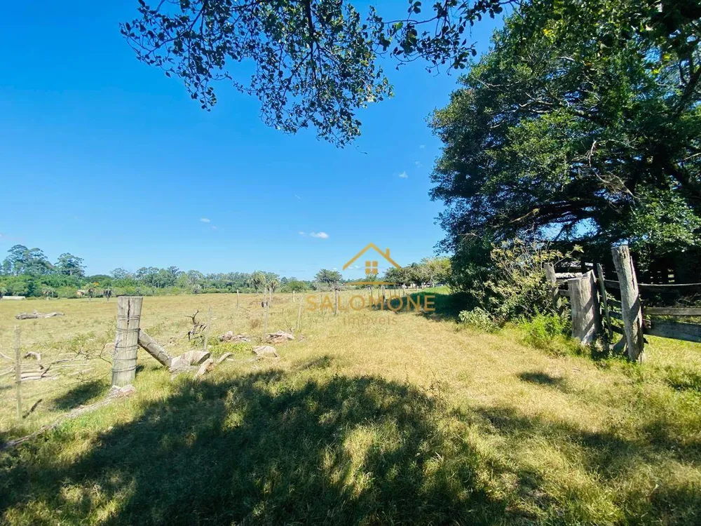 Sítio, 27 hectares - Foto 4