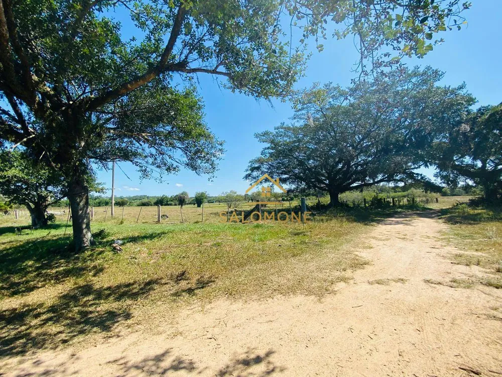 Sítio, 27 hectares - Foto 12