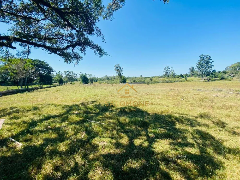 Sítio, 27 hectares - Foto 15