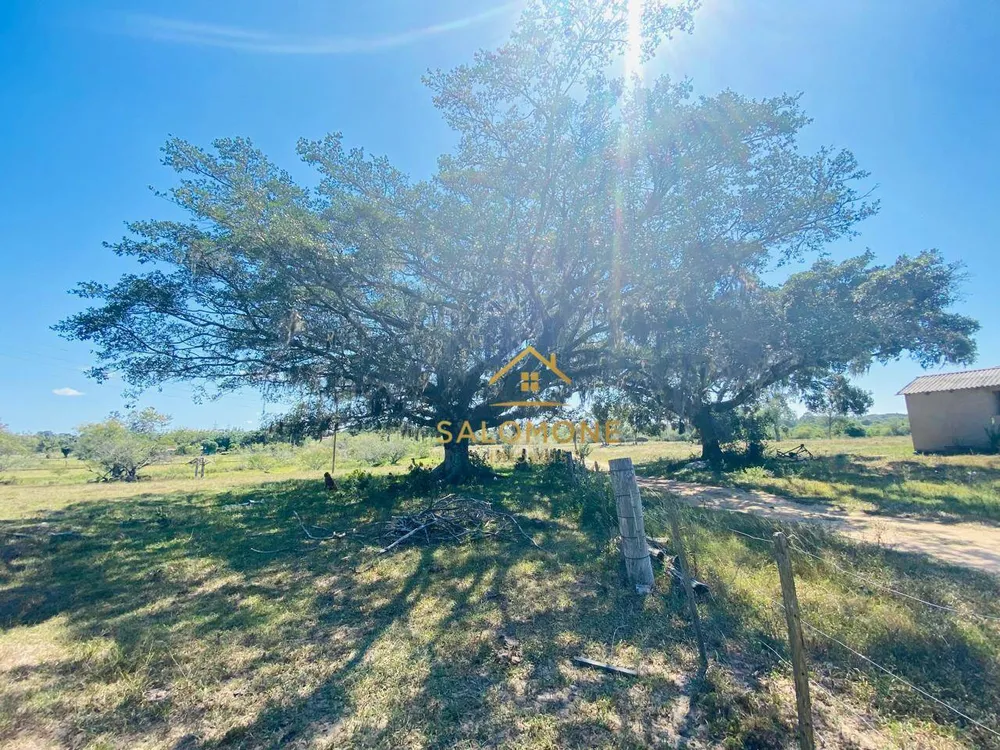 Sítio, 27 hectares - Foto 11