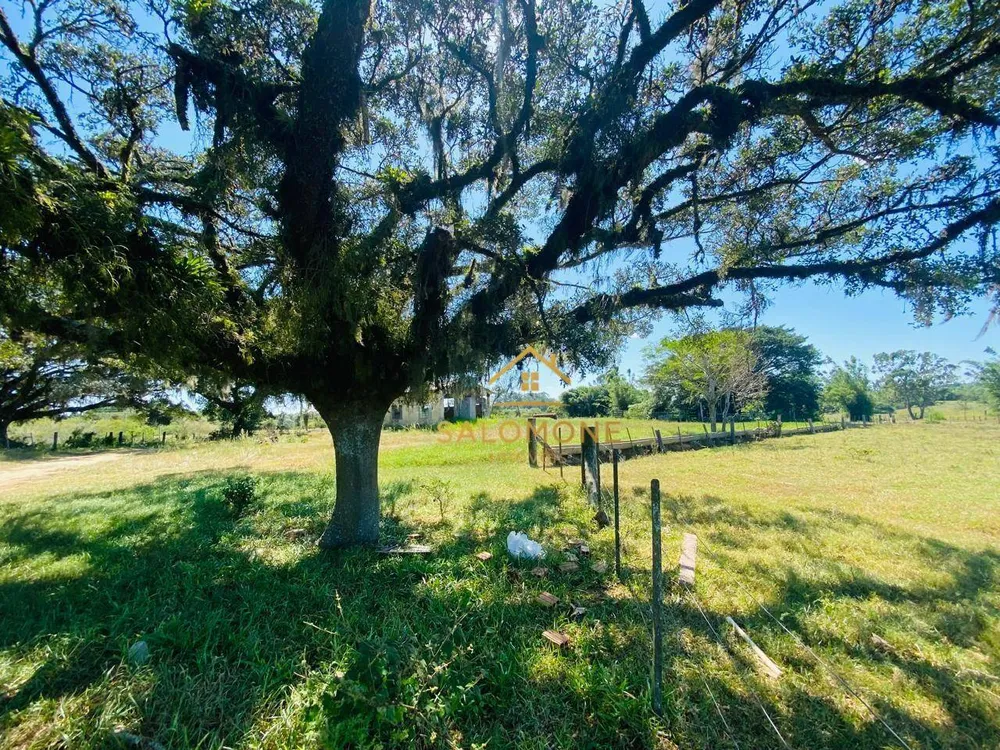 Sítio, 27 hectares - Foto 14