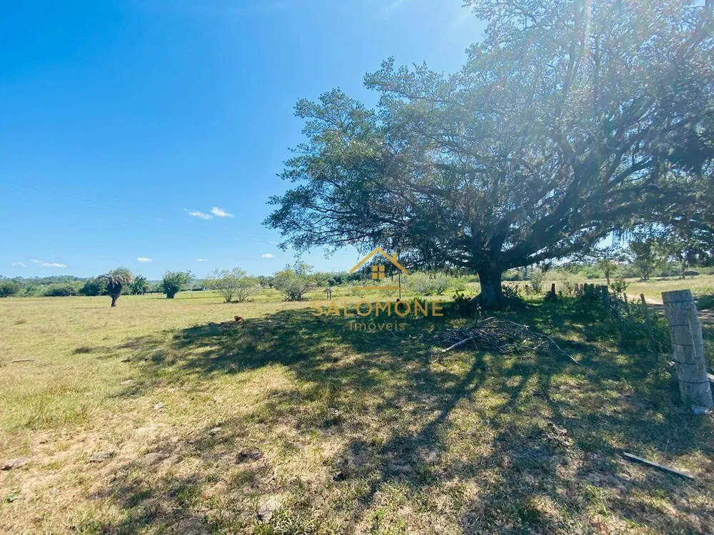 Sítio, 27 hectares - Foto 10