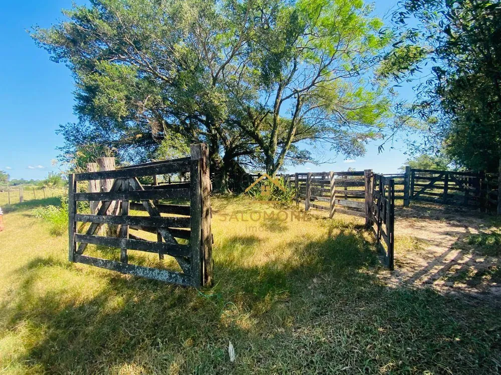 Sítio, 27 hectares - Foto 6