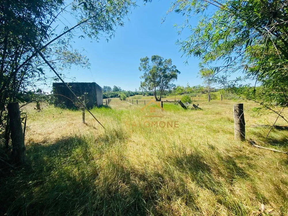 Sítio, 27 hectares - Foto 7
