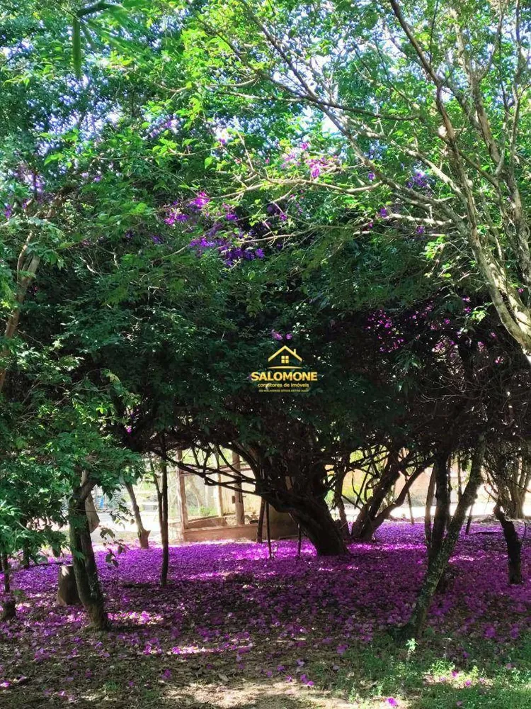 Sítio, 7 quartos, 5 hectares - Foto 13
