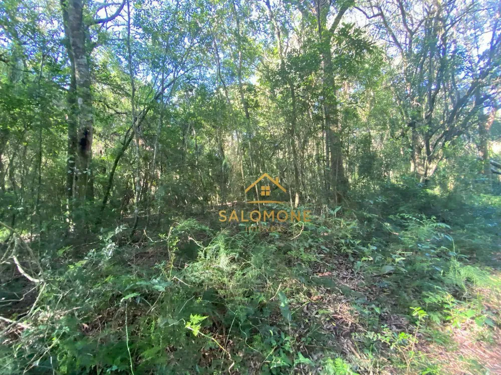 Terreno, 1100 m² - Foto 4