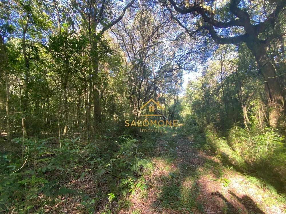 Terreno, 1100 m² - Foto 2