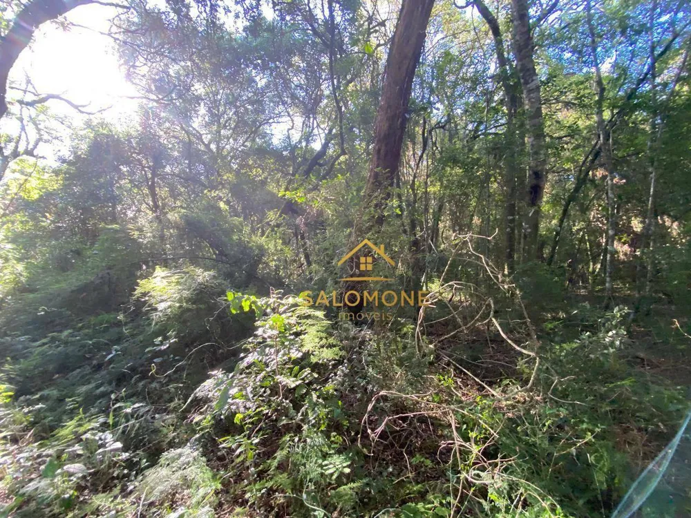 Terreno, 1100 m² - Foto 1
