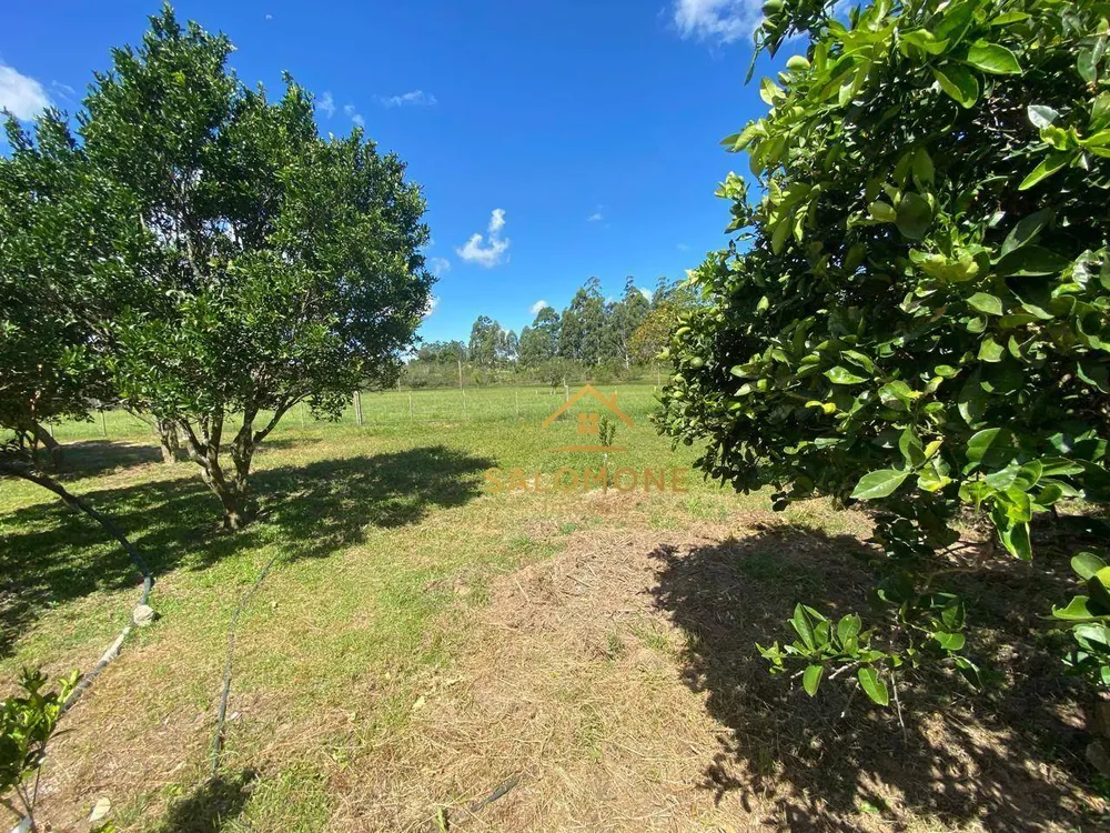 Sítio, 3 quartos, 3 hectares - Foto 11