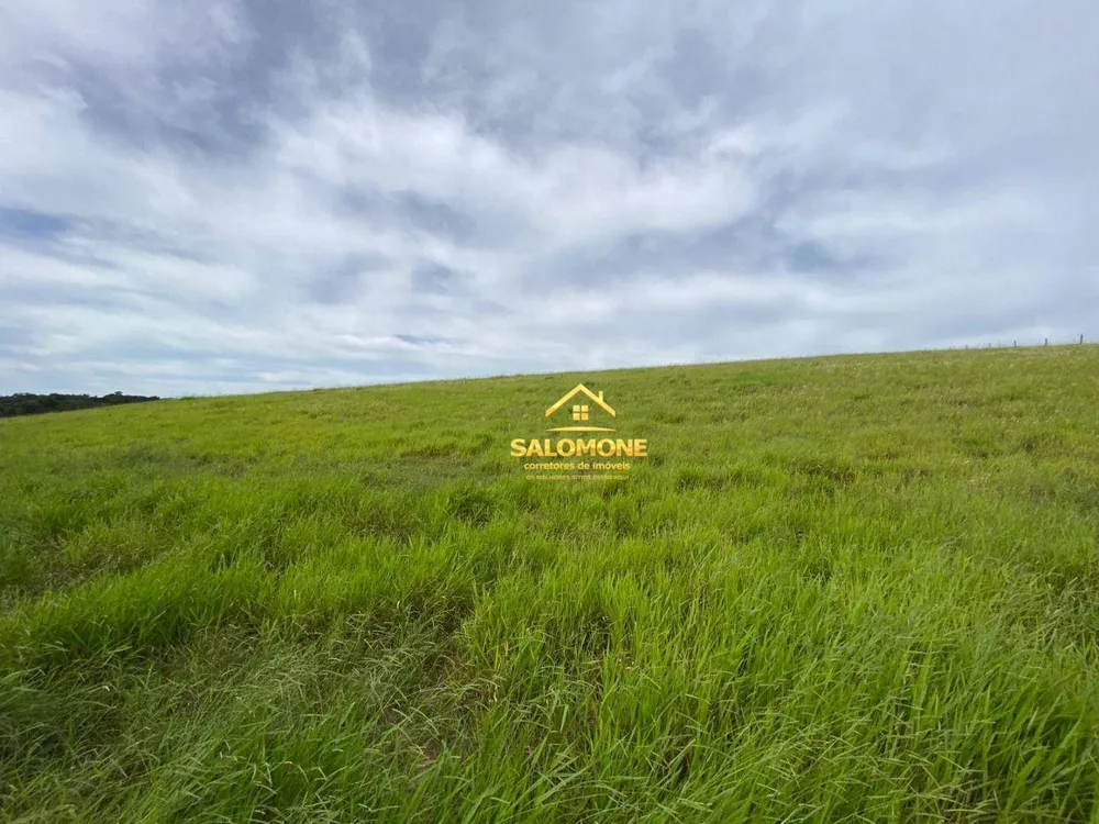 Fazenda, 55 hectares - Foto 6