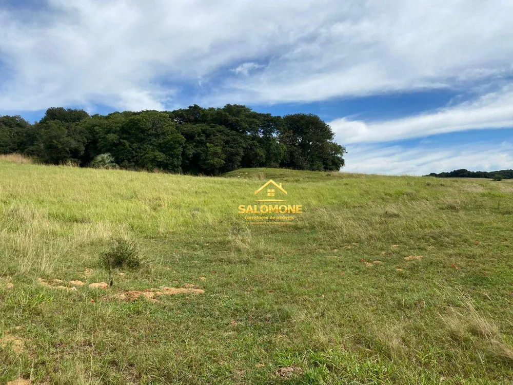 Fazenda, 55 hectares - Foto 8