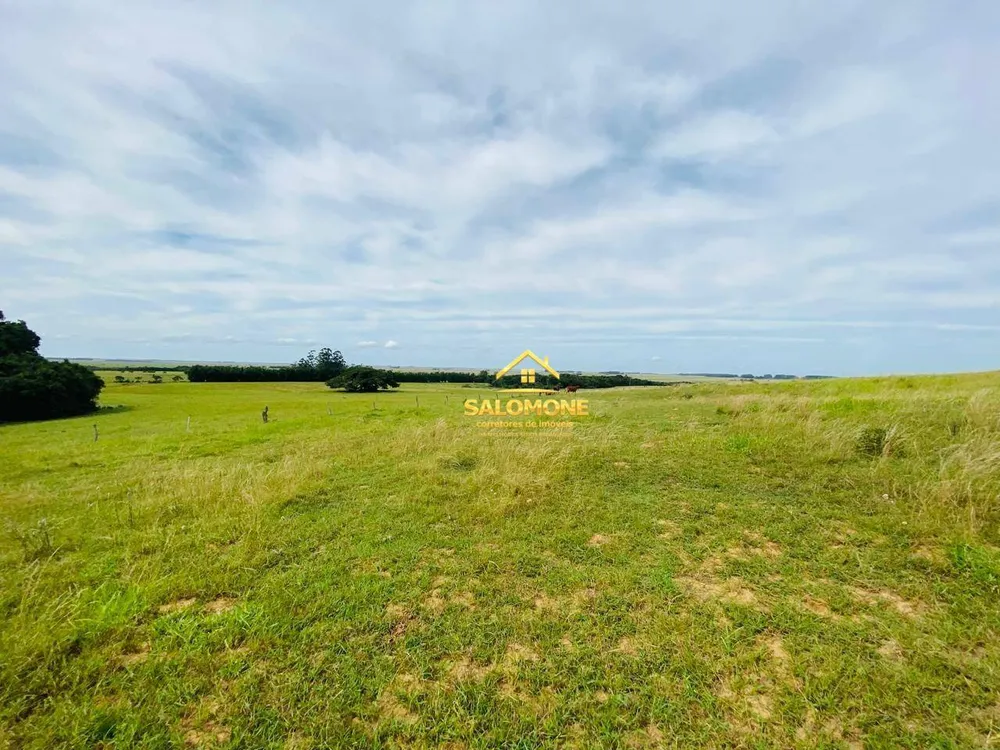 Fazenda, 55 hectares - Foto 1
