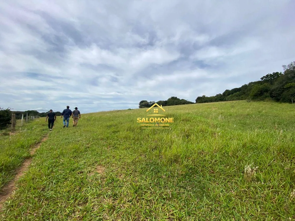 Fazenda, 55 hectares - Foto 4