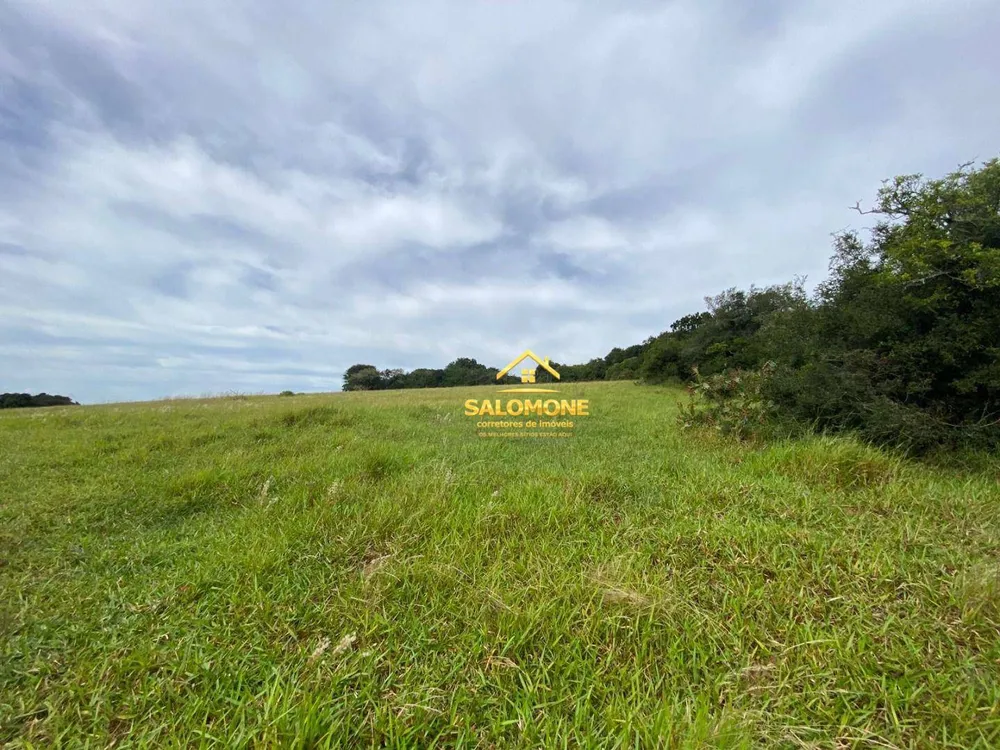 Fazenda, 55 hectares - Foto 7