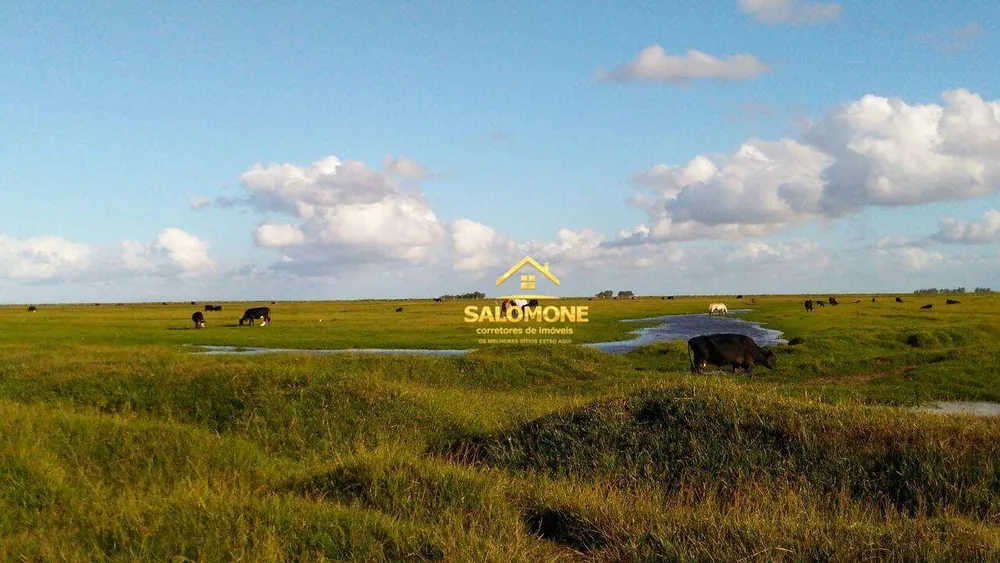 Fazenda, 130 hectares - Foto 6