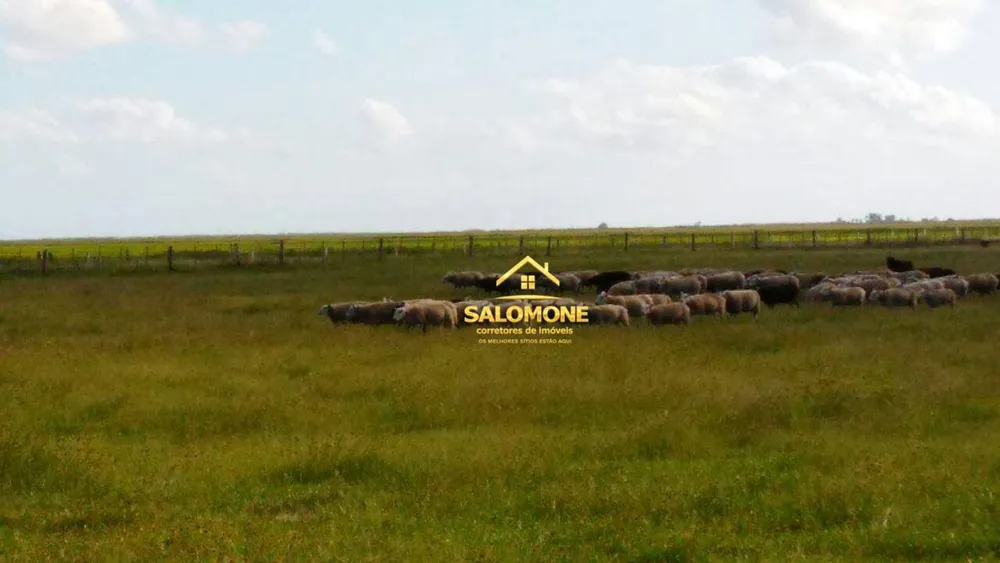 Fazenda, 130 hectares - Foto 4