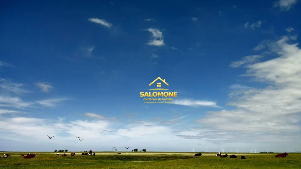 Fazenda, 130 hectares - Foto 10