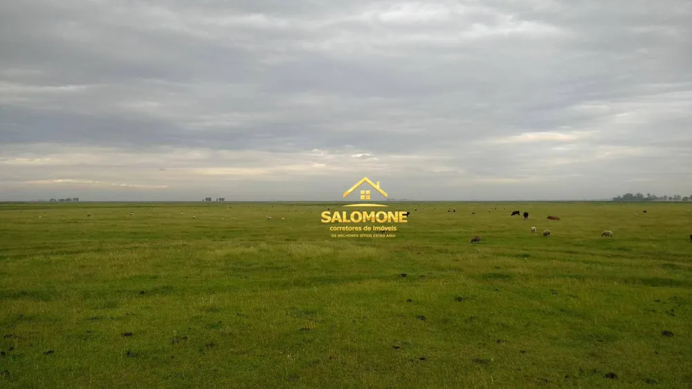 Fazenda, 130 hectares - Foto 7