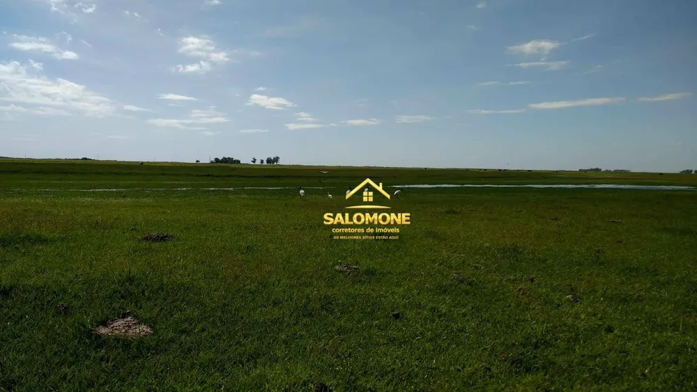 Fazenda, 130 hectares - Foto 9