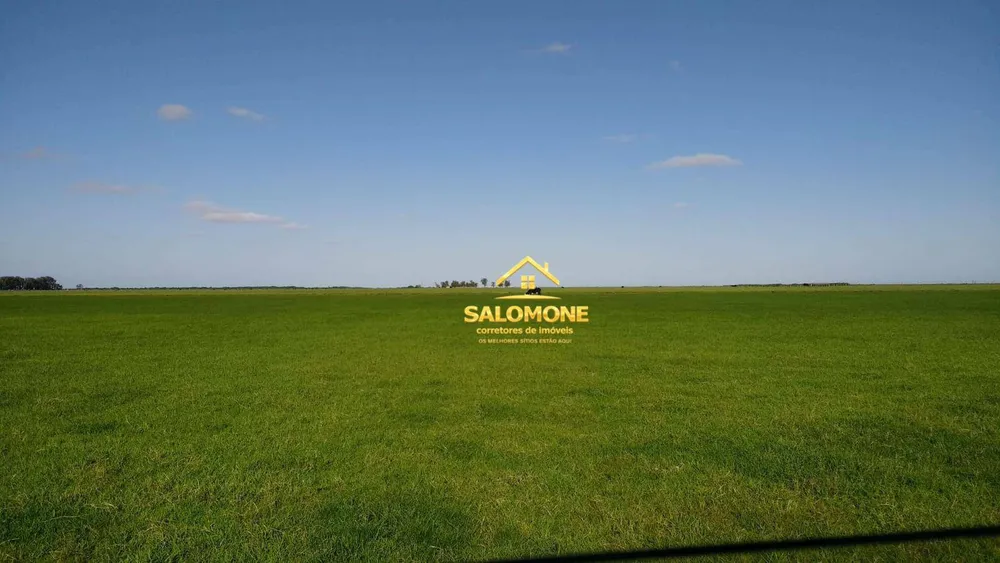 Fazenda, 130 hectares - Foto 11