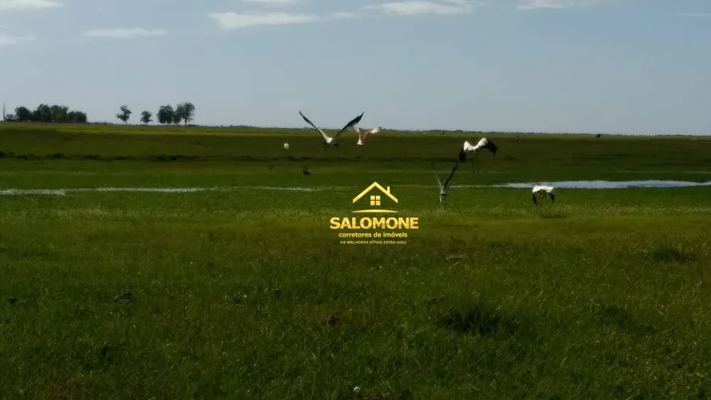 Fazenda, 130 hectares - Foto 8