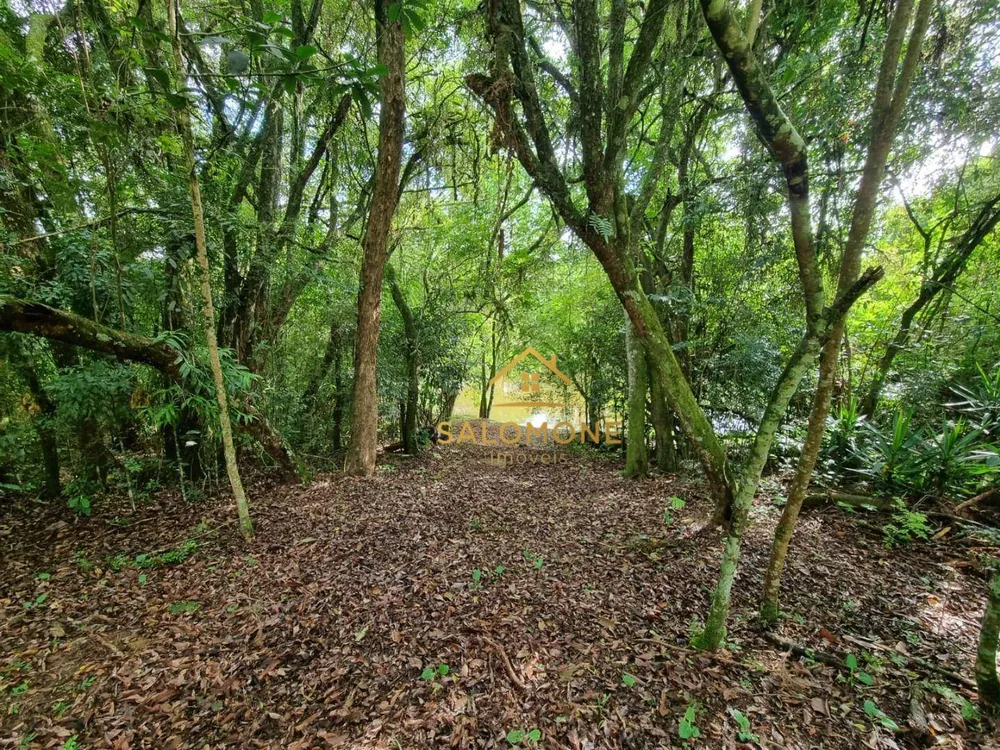 Chácara, 3 quartos, 6000 m² - Foto 9