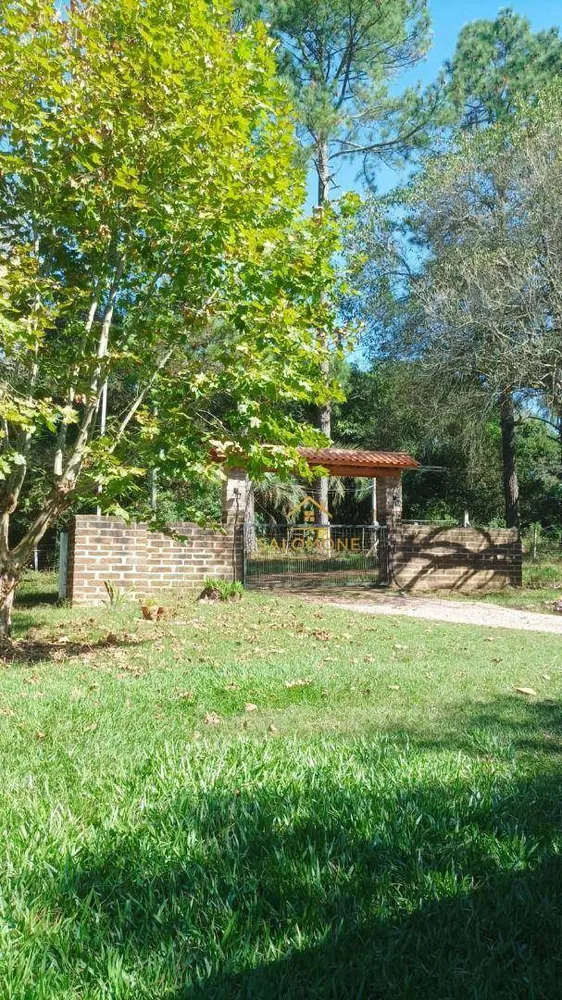 Chácara, 3 quartos, 6000 m² - Foto 7
