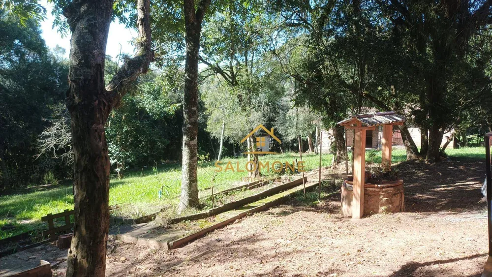 Chácara, 3 quartos, 6000 m² - Foto 4