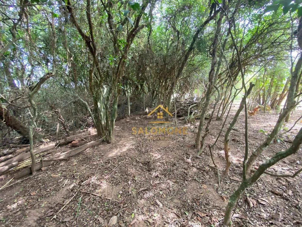 Chácara, 2 quartos, 987 m² - Foto 10
