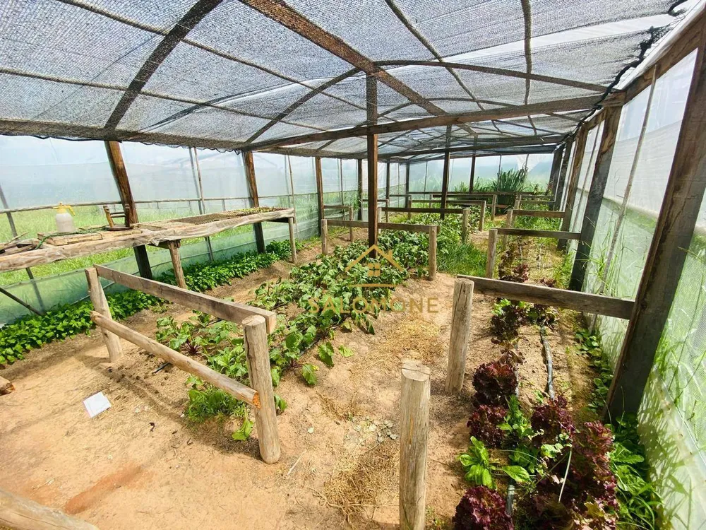 Sítio, 2 quartos, 2 hectares - Foto 11