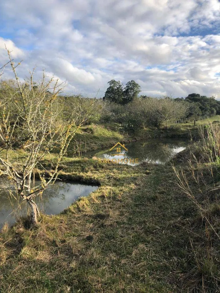 Sítio, 1 quarto, 1 hectares - Foto 15
