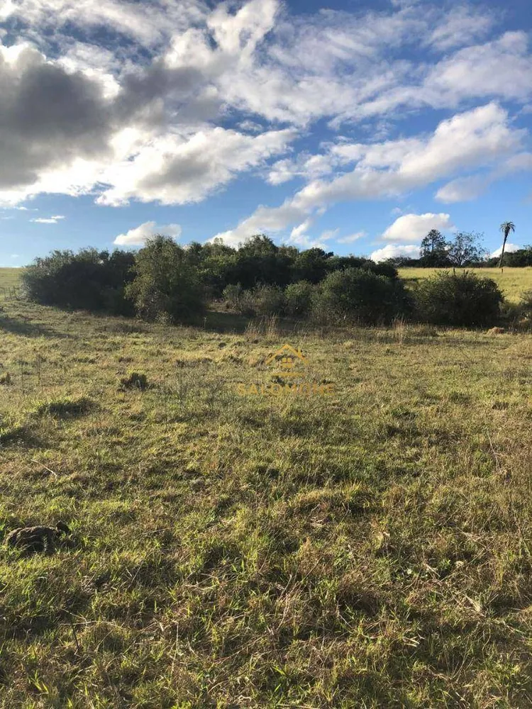 Sítio, 1 quarto, 1 hectares - Foto 12