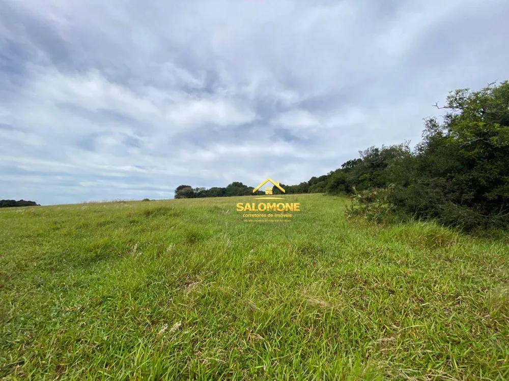 Fazenda, 214 hectares - Foto 4