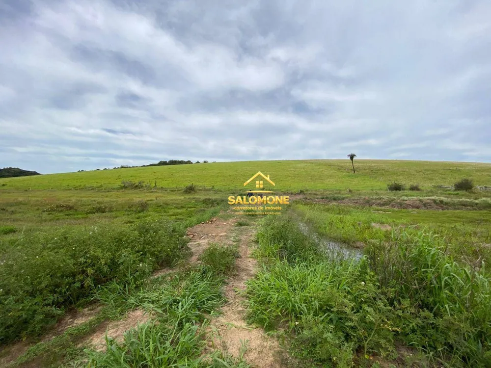 Fazenda, 214 hectares - Foto 13