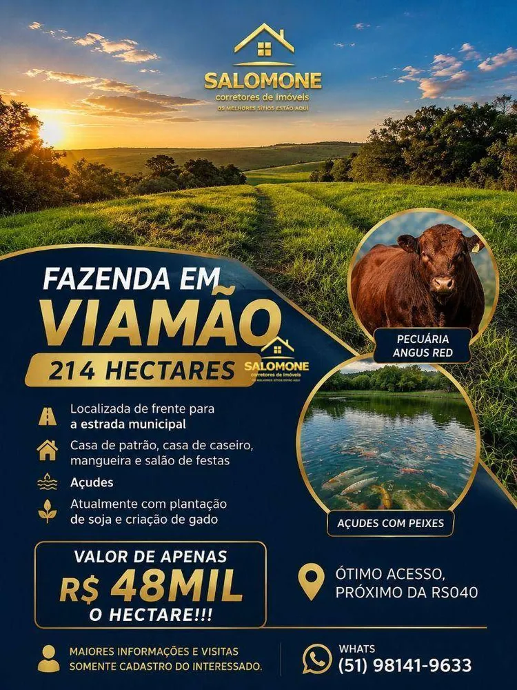 Fazenda, 214 hectares - Foto 16