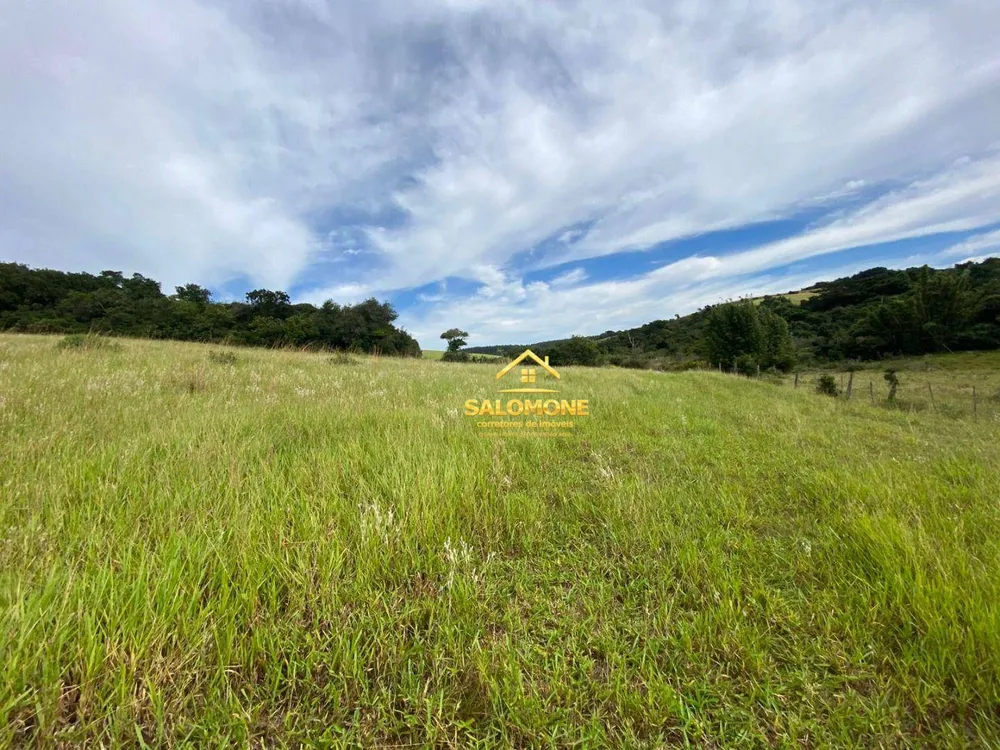 Fazenda, 214 hectares - Foto 8